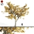 14.42m High Quality Elm Tree 3D model small image 1