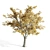 14.42m High Quality Elm Tree 3D model small image 2
