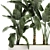 Tropical Banana Palm in White Vase 3D model small image 2