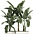 Tropical Banana Palm in White Vase 3D model small image 4