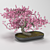 GrowFX Bonsai Tree: Captivating Miniature Beauty 3D model small image 1