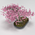 GrowFX Bonsai Tree: Captivating Miniature Beauty 3D model small image 2