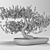 GrowFX Bonsai Tree: Captivating Miniature Beauty 3D model small image 3