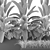 Indoor & Outdoor Plant Collection: Banana Palm, Monstera, Aspidistra & Grass 3D model small image 6