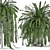 Tropical Fern Collection in Black Pot 3D model small image 1