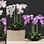 Orchid Pot: Plants & 3D Files 3D model small image 1