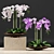Orchid Pot: Plants & 3D Files 3D model small image 2