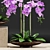 Orchid Pot: Plants & 3D Files 3D model small image 3