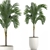 Tropical Palm in White Pot 3D model small image 1