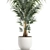 Tropical Palm: Exotic Indoor Plant Collection 3D model small image 4
