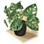 Tropical Leaf Decor: Monstera Monkey Mask 3D model small image 2