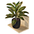 Tropical Delight Croton Plant 3D model small image 2