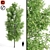 Premium Sorrel Tree: Majestic 12.34m Height 3D model small image 1