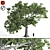  Majestic Oak Tree Sculpture 3D model small image 1