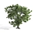  Majestic Oak Tree Sculpture 3D model small image 2