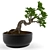 Elegant Bonsai Decor Tree 3D model small image 1