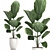 Tropical Indoor Plants Collection 3D model small image 3