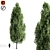  Majestic Cypress Oak Tree Growth 3D model small image 5