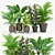 Lifelike Calathea Décor: Faux Potted Elegance 3D model small image 1