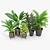 Lifelike Calathea Décor: Faux Potted Elegance 3D model small image 2