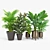 Lifelike Calathea Décor: Faux Potted Elegance 3D model small image 4