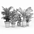 Lifelike Calathea Décor: Faux Potted Elegance 3D model small image 5