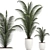 Tropical Paradise: Collection of Exotic Indoor Palms 3D model small image 1