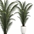 Tropical Paradise: Collection of Exotic Indoor Palms 3D model small image 2