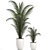 Tropical Paradise: Collection of Exotic Indoor Palms 3D model small image 3