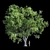 Product Title: Premium Platanus Acerifolia Tree 3D model small image 1