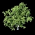 Product Title: Premium Platanus Acerifolia Tree 3D model small image 2