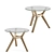 Elegant Maricielo Coffee Tables 3D model small image 3