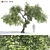 Greenery Bliss: 3D Tree Model 3D model small image 1