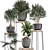 Indoor Plant Collection: Exotic and Tropical Varieties 3D model small image 2