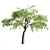 Sour Cherry Tree: Tall, Vibrant, and Delicious 3D model small image 2