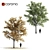 Lovely Tilia Tree Duo 3D model small image 1