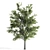 Lovely Tilia Tree Duo 3D model small image 3