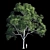 Eucalyptus 10- Polys: 1 476 579 3D model small image 1