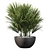 Charming Chamaerops Palm - Exquisite 3D Greenery 3D model small image 3