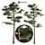 Nature's Duo: Two Majestic Pines 3D model small image 1