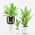 Aspidistra Palm Plant: Max 2012 & fbx (Plants 205) 3D model small image 1