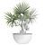 Lush Palm Tree 3D Model 3D model small image 2