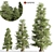 Tall Cedar Trees for Landscaping 3D model small image 1