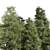 Tall Cedar Trees for Landscaping 3D model small image 2