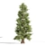 Tall Cedar Trees for Landscaping 3D model small image 5