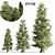 3 Majestic Cedar Trees 3D model small image 1