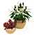 Tropical Elegance: Anthurium and Fittonia 3D model small image 5