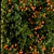 Orange Flower Vertical Garden Frame 3D model small image 2