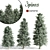  Majestic Pine Trees - Various Heights 3D model small image 1