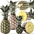 Tropical Pineapple Fruit Collection 3D model small image 1